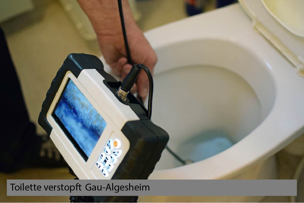 Toilette verstopft Gau-Algesheim